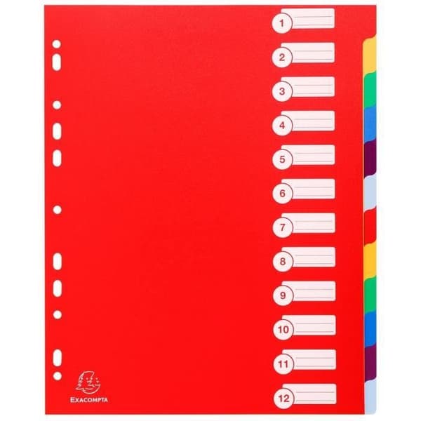 EXACOMPTA Polypropenavdelare A4 Maxi 30x100e 12 positioner