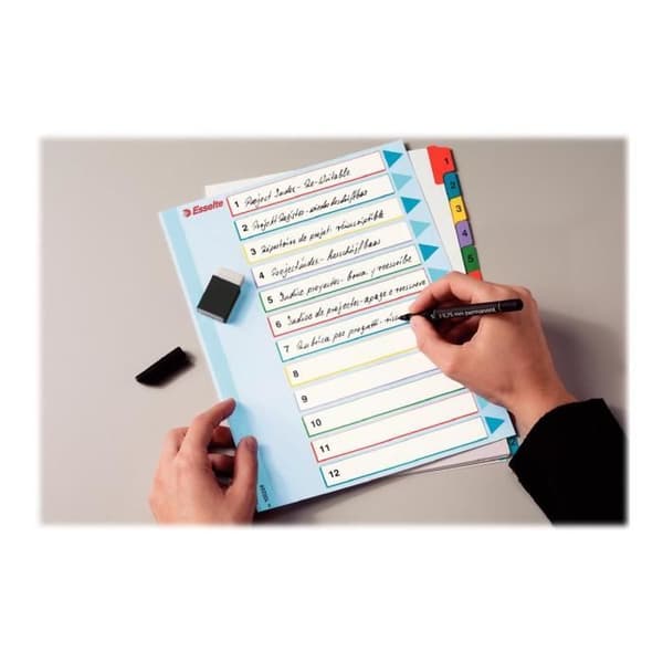 Esselte 31 Position 1-31 A4 Maxi Tabbed Divider (pack med 10)