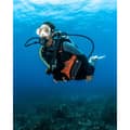 Miniatyrbild 9 av 9: Aqualung Regulator Din Helix Compact Pro Silver