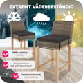 Miniatyrbild 7 av 10: Rotting barstol Latina - natur