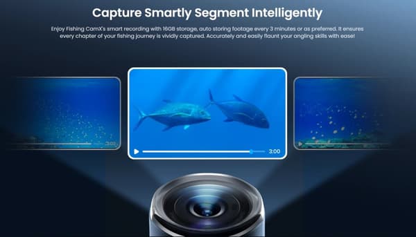Chasing CanFish Fishing CamX - Lure Fishing Cam