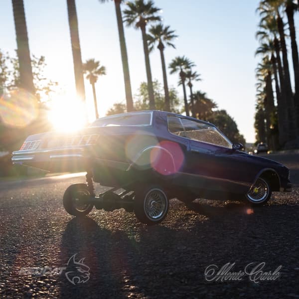 RedCat Monte Carlo Hopping Lowrider - Grøn