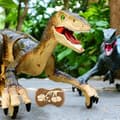 Miniatyrbild 3 av 4: SHOP-STORY - VELOCIRAPTOR BROWN: Dinosaurie med fjärrkontroll med ljus och ljud