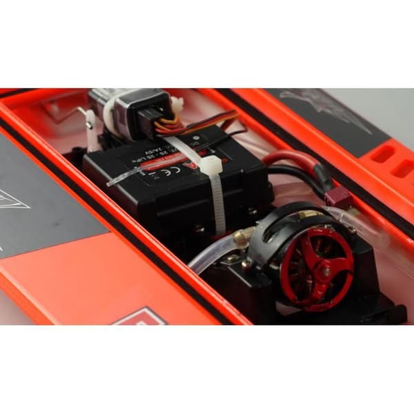 Motoriserad RC-båt för nybörjare - AMEWI - F1 Mad Shark V2 - Borstlös - Utomhus - Vit