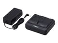 Miniatyrbilde 1 av 5: Panasonic AG-BRD50 - Batterilader + AC-strømadapter - 2 x batterier lader - 4000 mA