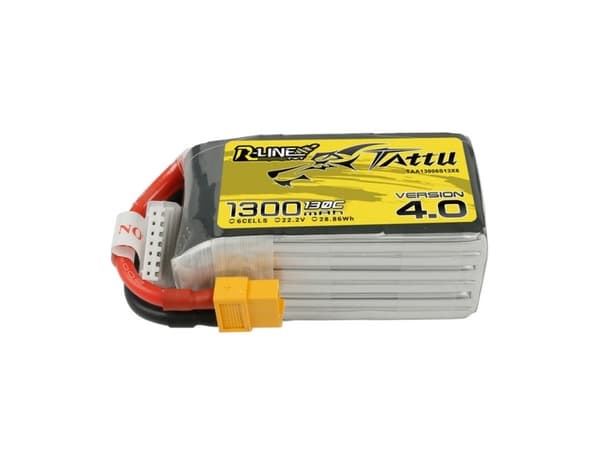 Tattu TAA13006S13X6, Bakterier