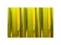 Pikkukuva 3 / 3: Oracover 321-094-002 Strygefolie Air Medium (L x B) 2 m x 60 cm Krom-gul