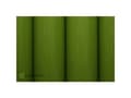 Pikkukuva 2 / 2: Oracover 40-042-002 Easycoat paisutuskalvo (L x S) 2 m x 60 cm Vaaleanvihreä