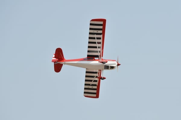 Black Horse Model Super Decathlon 2.45m GP ARF
