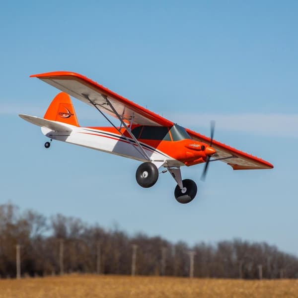 E-Flite Carbon-Z Cub SS 2.1m BNF AS3X/SAFE