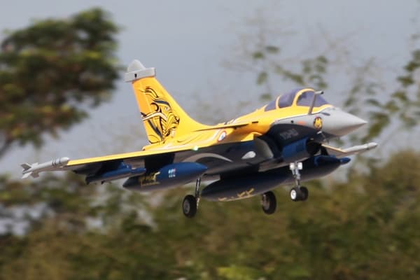 FMS  80mm Dasault Rafale EDF PNP