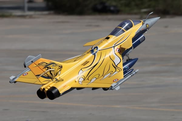 FMS  80mm Dasault Rafale EDF PNP