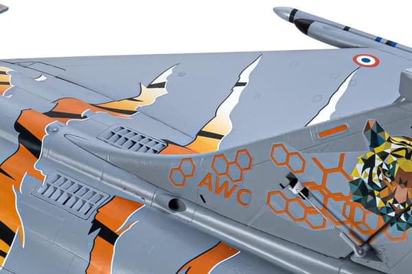 FMS 64mm Dasault Rafale EDF PNP