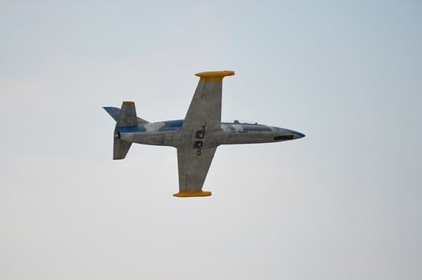 Black Horse Model L-39 Albatros Turbine 1.72m ARF