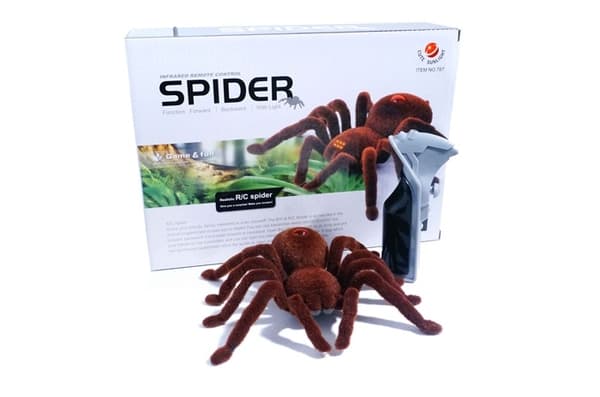 Robot Spider - Robetoy