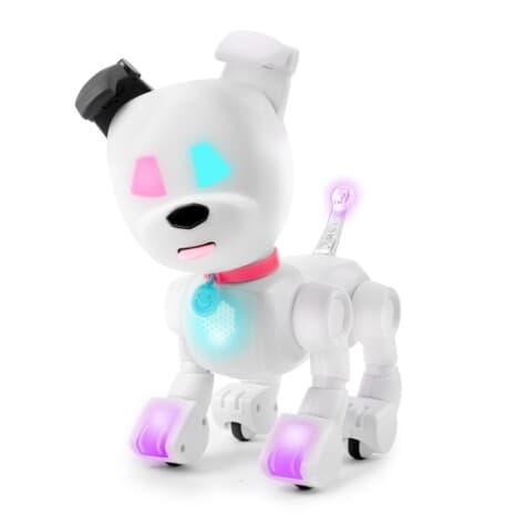 MinTiD Dog-E