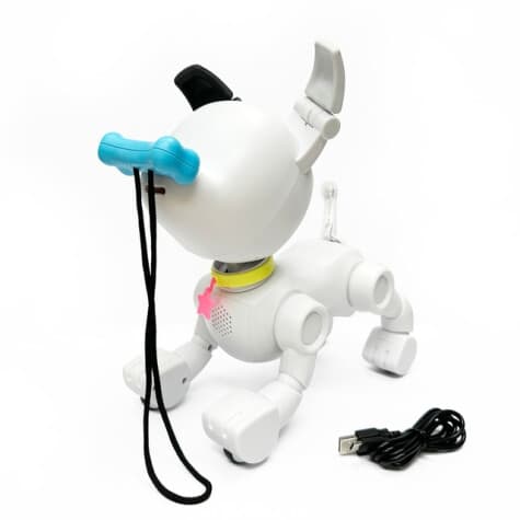 MinTiD Dog-E