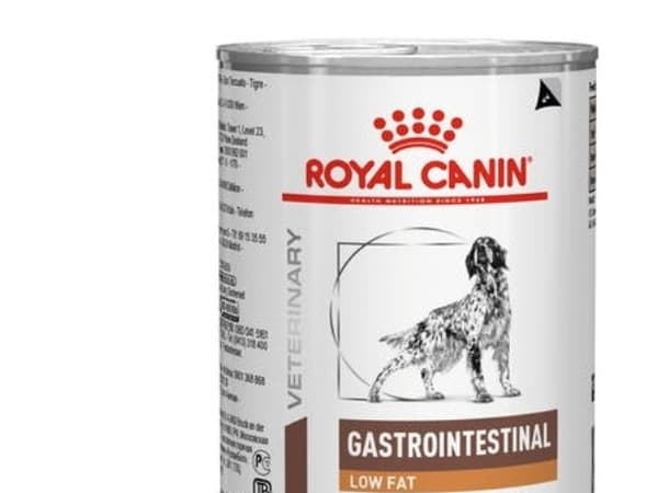 Royal Canin PIES 410g PUSZKA GASTRO INTESTINAL LOW FAT