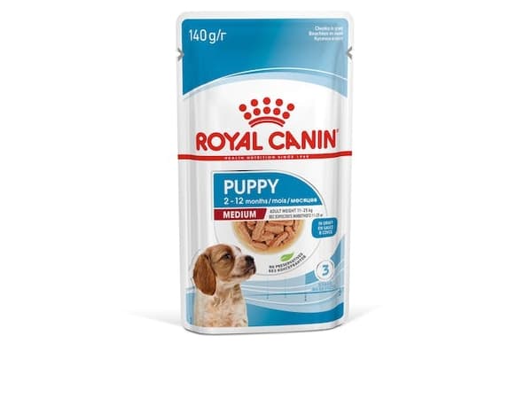 ROYAL CANIN SHN Medium Puppy in sauce - märkäruoka pennuille - 10x140g