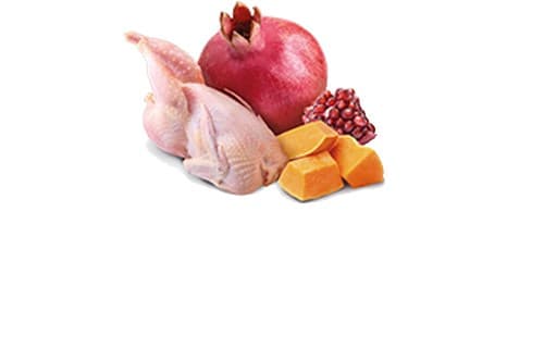 Farmina FARMINA N&D DOG QUAIL & PUMPKIN 285gr