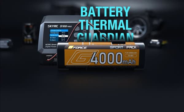 SkyRC S100 Neo  Datorladdare AC100W/DC200W