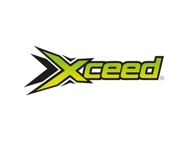 XCeed 1:10 Runkokiinnikkeet Gold 1 kpl