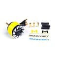 Miniatyrbild 2 av 4: SunnySky 4520 1120KV Motor - Gul