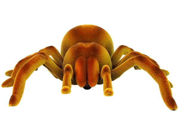 Fjärrstyrd Spider Tarantula Infraröd Brun R/C