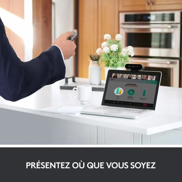 Logitech SPOTLIGHT GRÅ fjärrkontroll