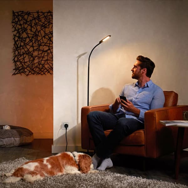 Hue Smart plugg