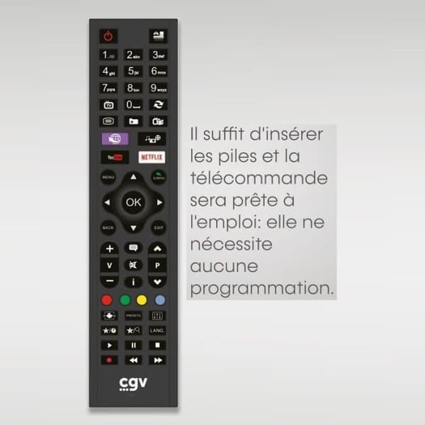 Ersättningsfjärrkontroll - Allmänna villkor - FIDELIO Panasonic - För Panasonic TV - Utan programmering - Klar att använda