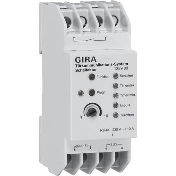 GIRA 128900, Plast, Vit, 10 A
