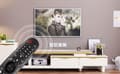 Pikkukuva 7 / 7: Kaukosäädin MR650A LG-televisiolle äänihiiritoiminnolla