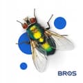 Miniatyrbillede 6 af 11: BROS FLUER OG ANDRE INSEKTER PAPIR PÅ RULLE På rulle lang 0,25 x 10 m