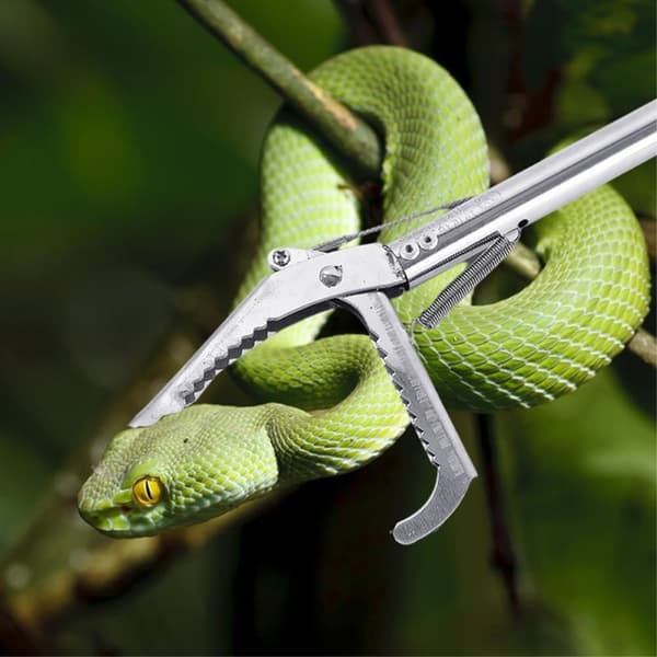 Rustfritt stål slangetang Reptilfanger med lås - 1,5m