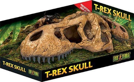 Exoterra Grotta T Rex-skalle - (222.2059)