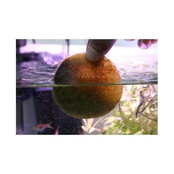 Poly-Filter Standard 20x10cm
