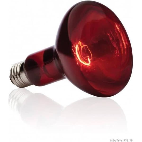 BASKING SPOT infraröd lampa 75 W