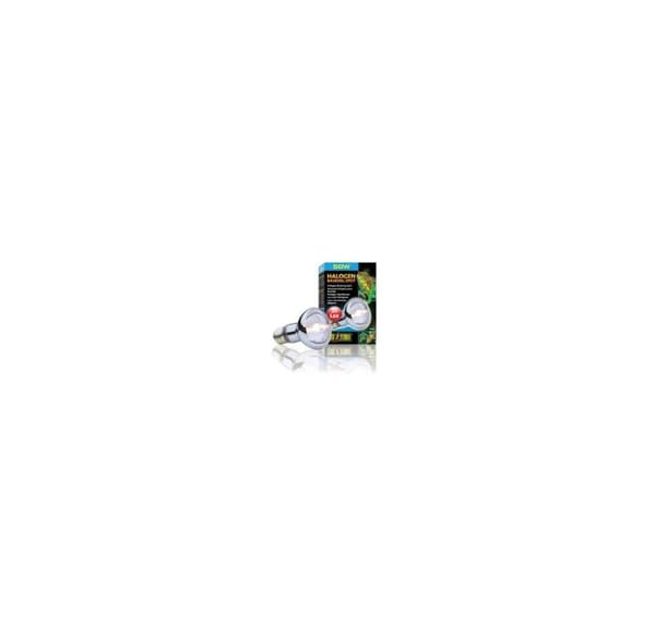 Terrariumlampe Halogen Basking Spot 50w PT2181