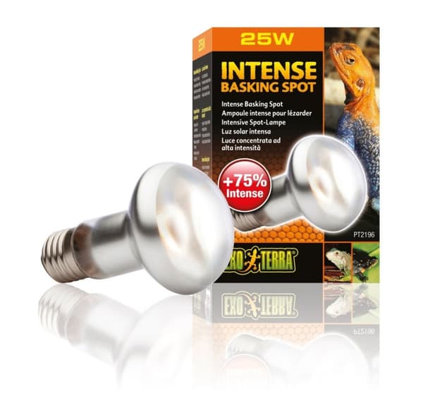 Terrariumlampe Intense Basking Spot S20 25w PT2196