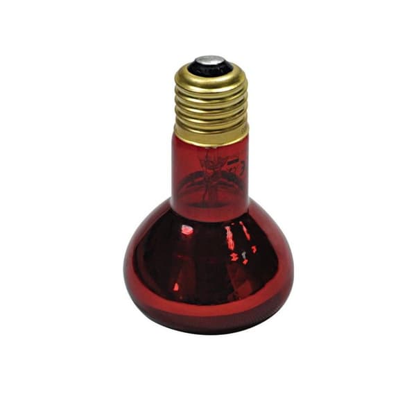 Terrariumlampe Nat Infrarød RPL03 50W rød