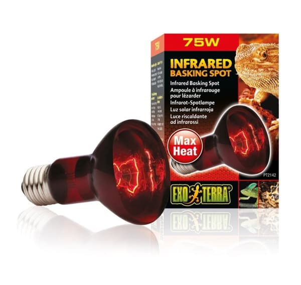 Terrarium lampe Infrarød Basking Spot R20 75w PT2142