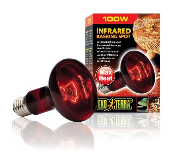 Terrarium lampe Infrarød Basking Spot R25 100w PT2144