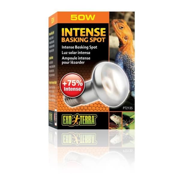 Baskingspot Intense Lamp 50w - Exo Terra - Huvudfärg: Vit - Djur: Kameleont