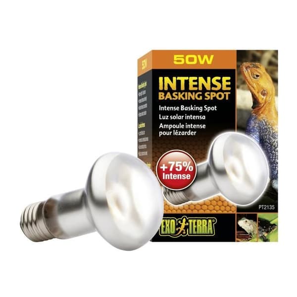 Baskingspot Intense Lamp 50w - Exo Terra - Huvudfärg: Vit - Djur: Kameleont