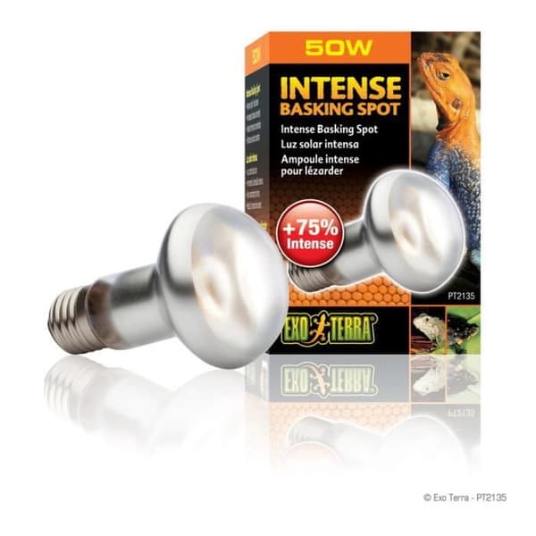 Baskingspot Intense Lamp 50w - Exo Terra - Huvudfärg: Vit - Djur: Kameleont