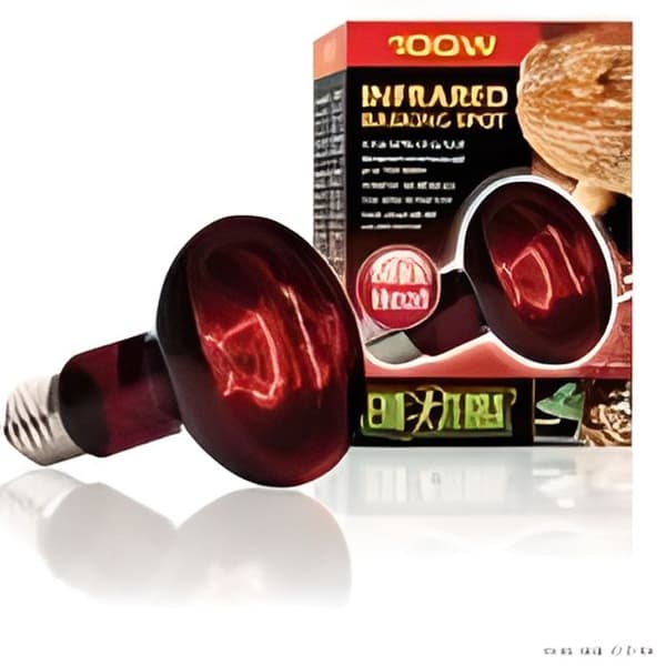 Baskin Spot infraröd lampa - EXO TERRA - För terrarium - 100 W - Reptil - Ödla