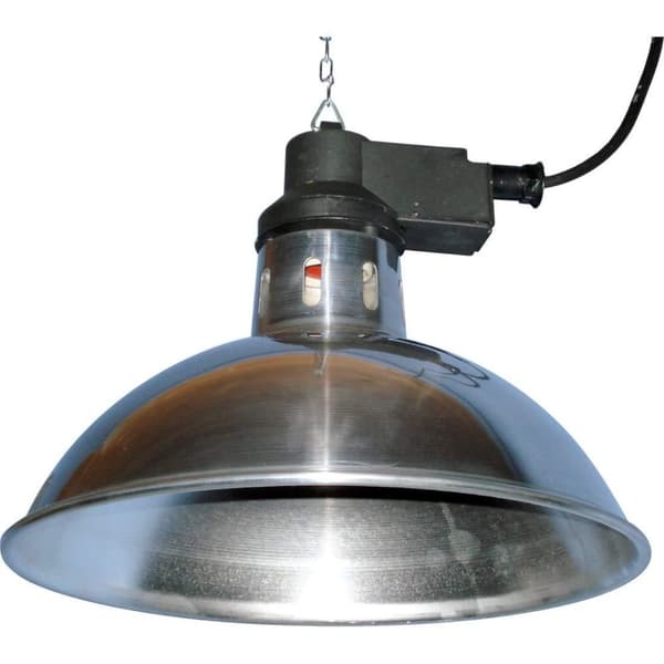 Intelec Traditionel infrarød lampe Silver 11.7in