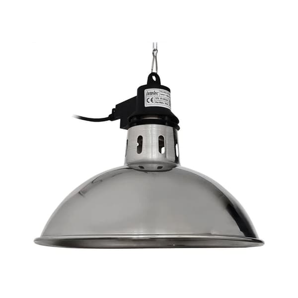 Intelec Traditionell infraröd lampa