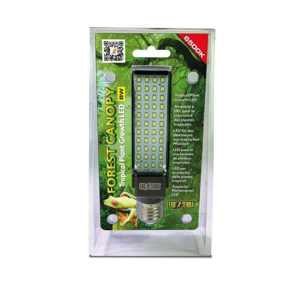 Terrarium lampe Forest Canopy LED 6500K